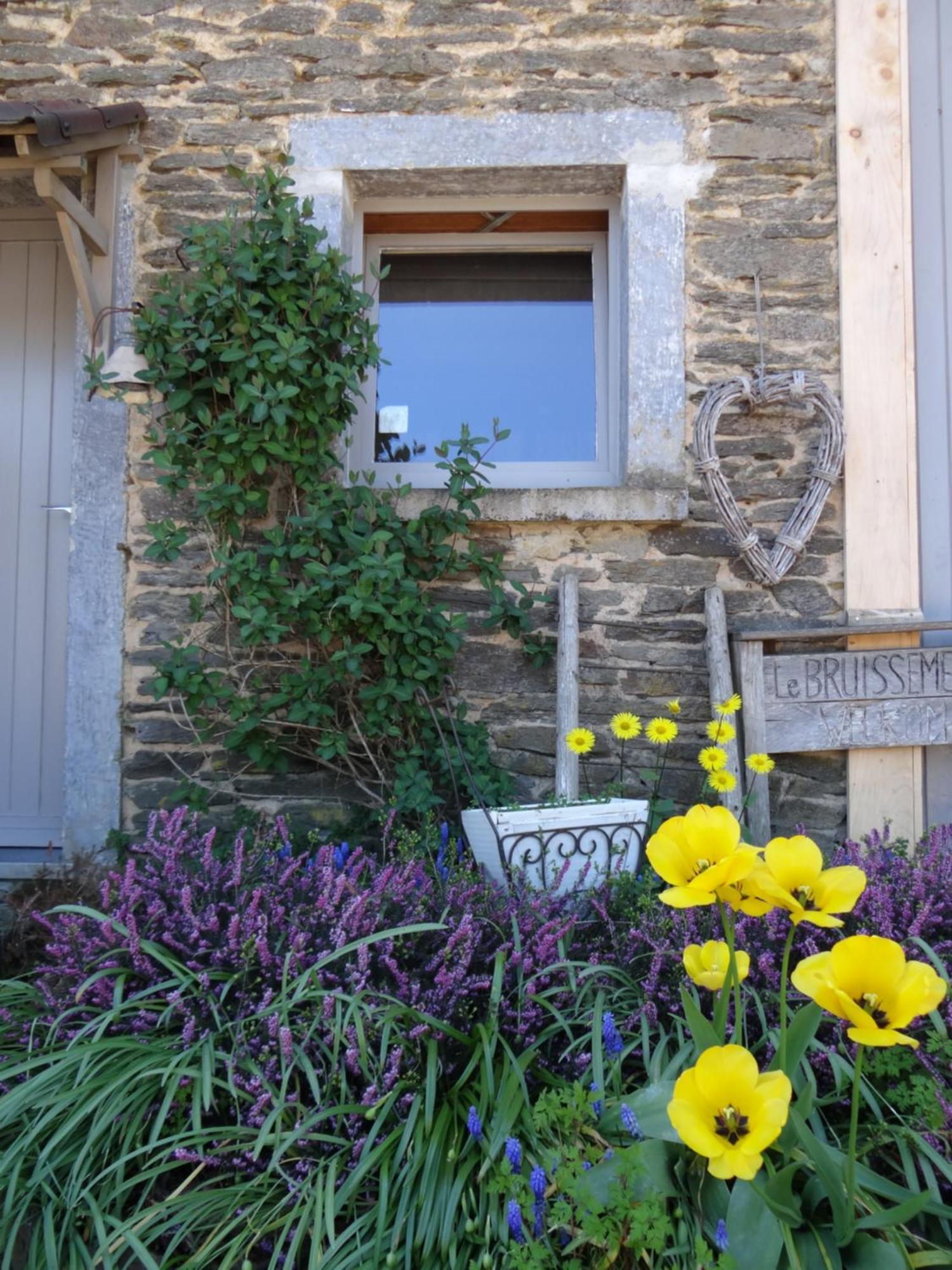 B&B Le Bruissement Bièvre Esterno foto